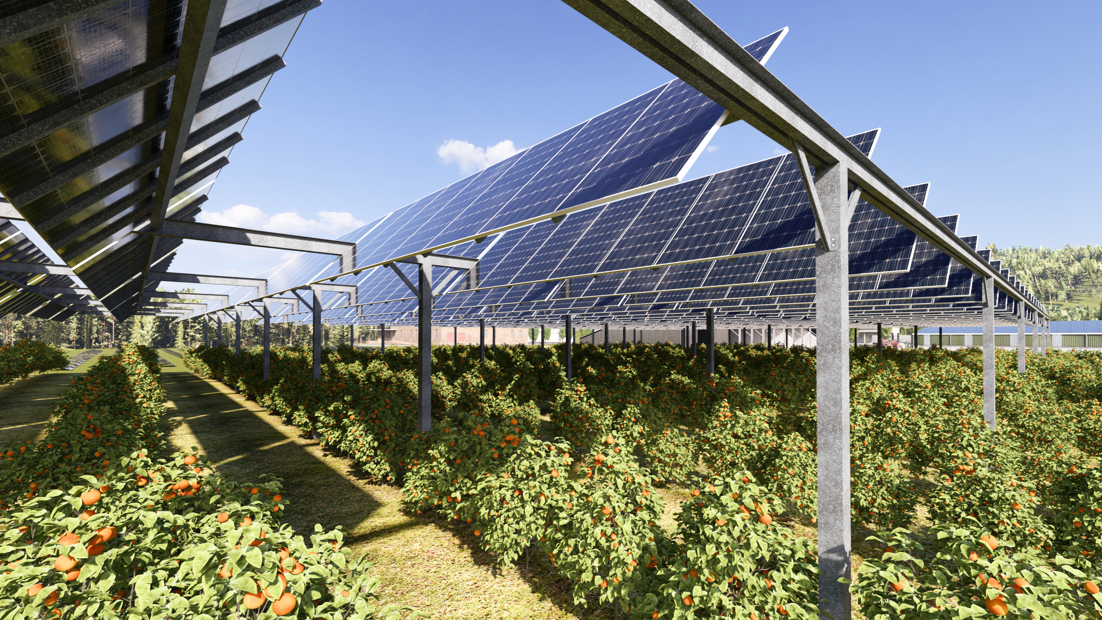 HD+Ombrie%E2%95%A0%C3%87re+Agricole+-+6x6+fruitiers+Orange-2