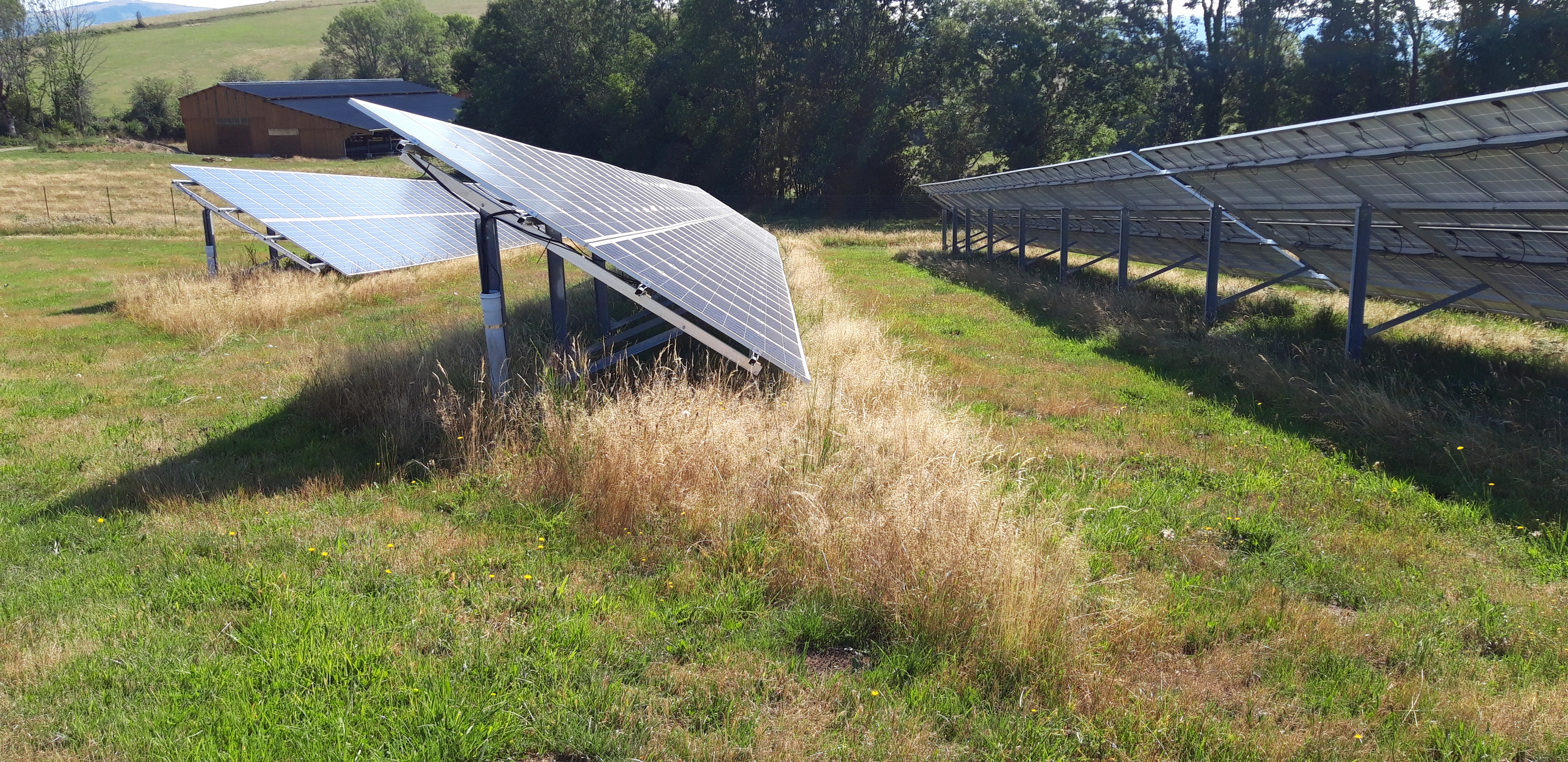 Installation de panneaux photovoltaïques sur terrain agricole